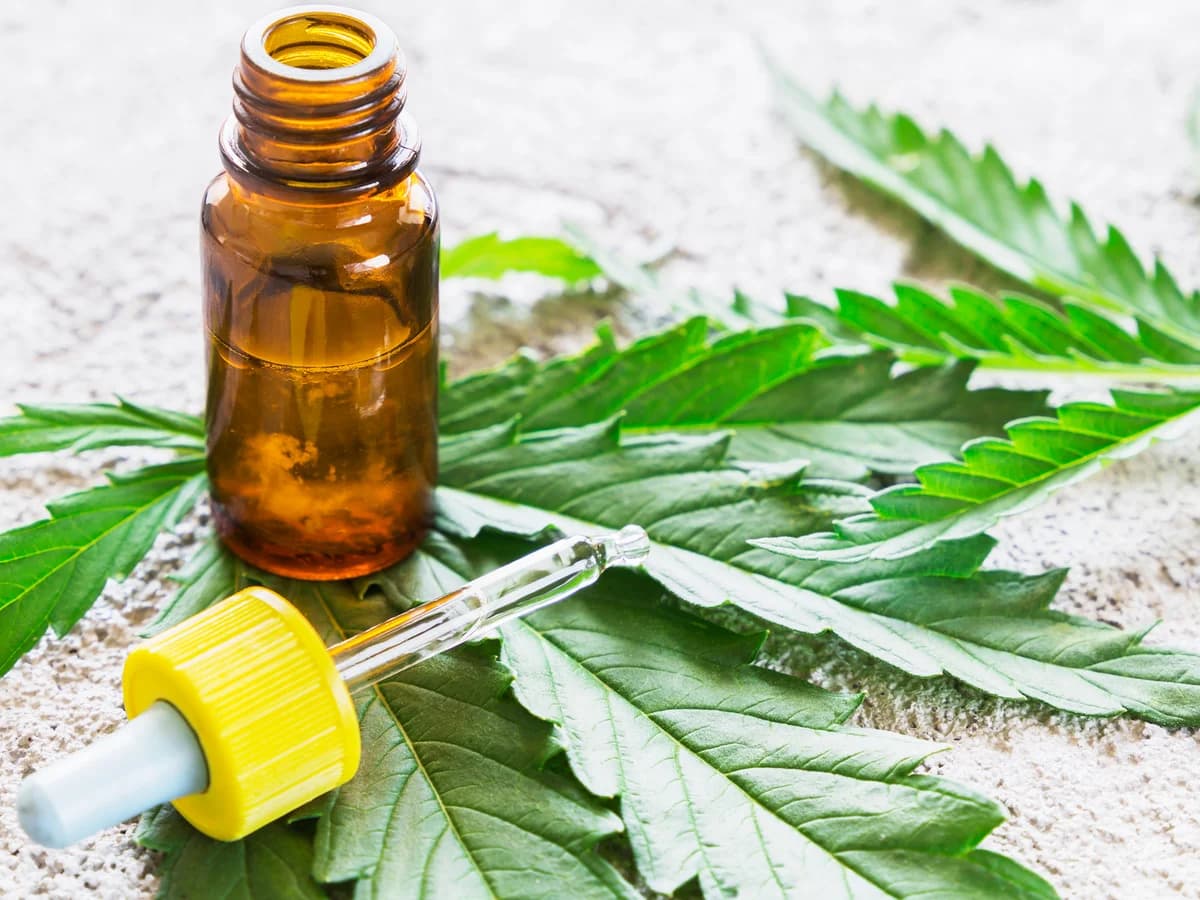 Cannabisöl Herstellung leicht gemacht: Wie Wernard Bruining mit „Run from the Cure“ zu Cbdladen fand