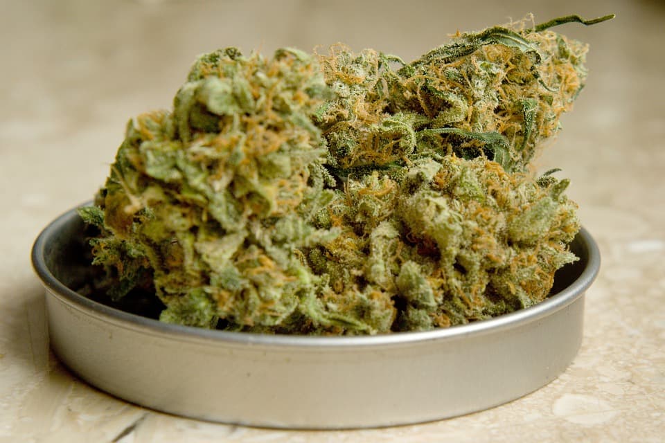 CBD Blüten kaufen – Jetzt die besten CBD Blüten auf dem Markt holen